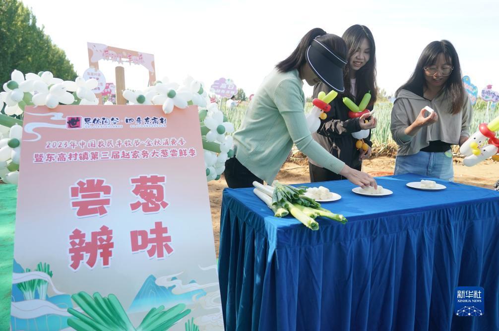 验证手机送彩金白菜网